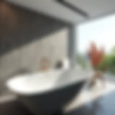 The Functionality and Aesthetics of the Pacifica Bathtub Tray Summary The Functionality and Aesthetics of the Pacifica Bathtub Tray Summary