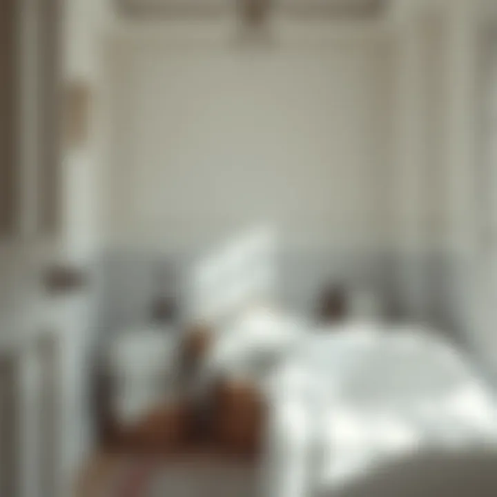 Notable The Pursuit of Pristine White Laundry: Techniques and Insights
