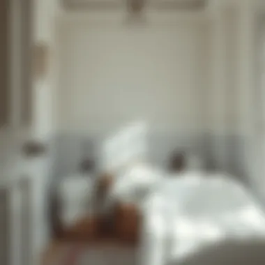 Notable The Pursuit of Pristine White Laundry: Techniques and Insights Notable The Pursuit of Pristine White Laundry: Techniques and Insights