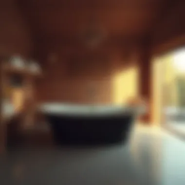 Elegant transformation of a bathtub into a sauna environment