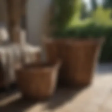 Well-maintained willow laundry basket in a sunlit outdoor space